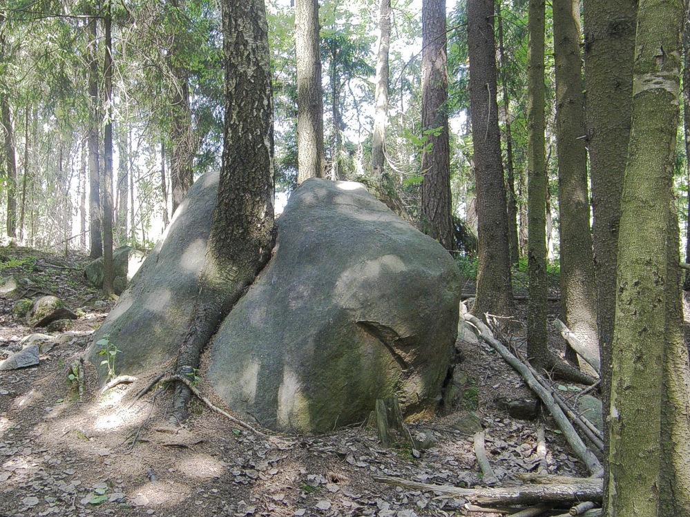 Luonnonvoima