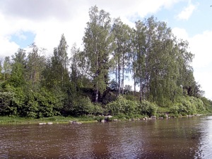 Ranta