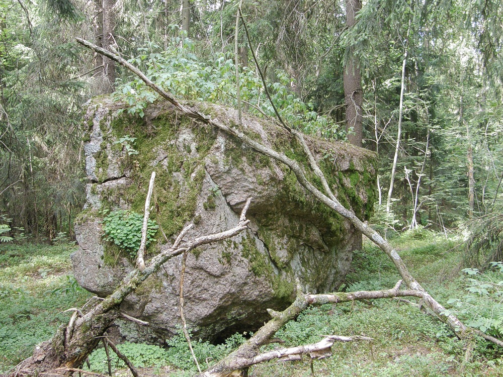 Siirtolohkare