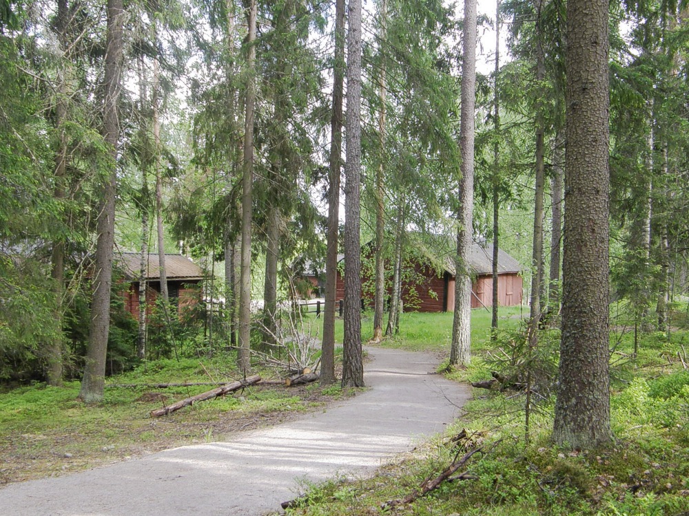 Maisema