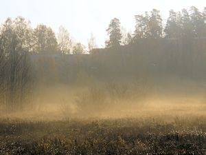Maisema