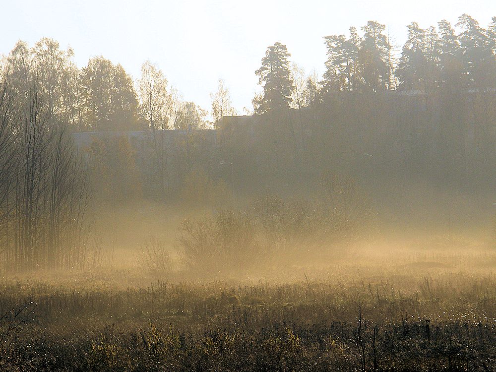 Maisema