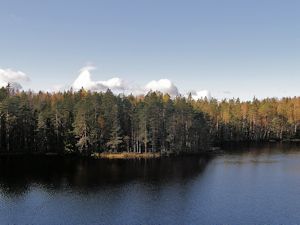 Maisema