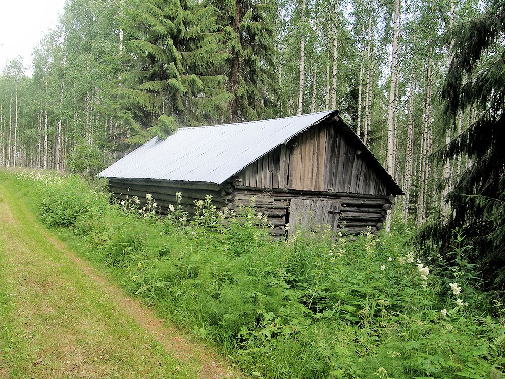 Maisema