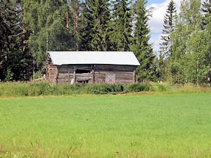 maisema