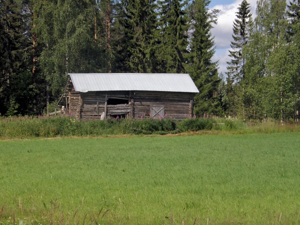 Maisema