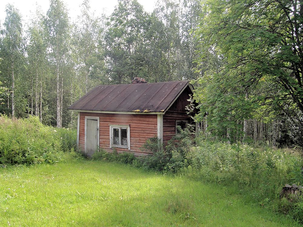 Maisema