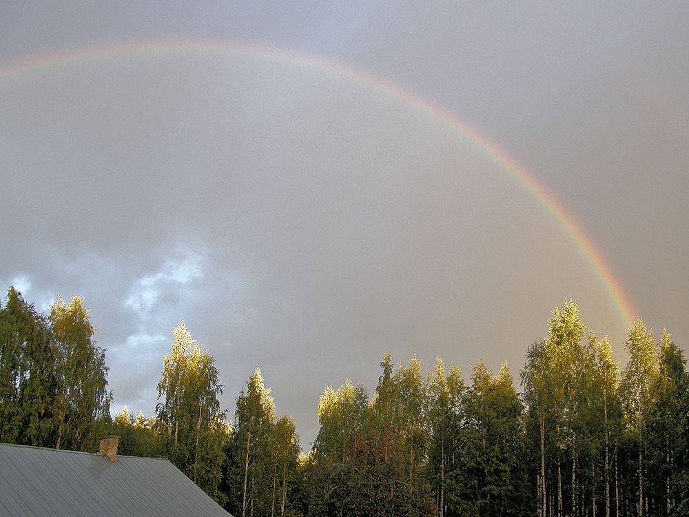 Maisema