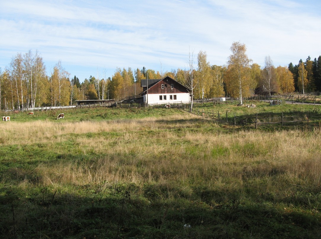 skata