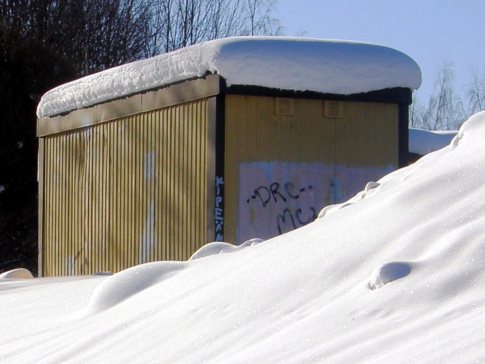 Talvi