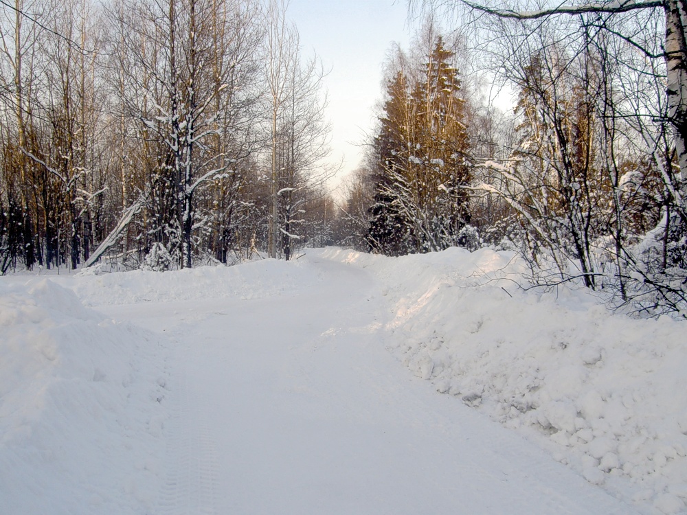 Talvi