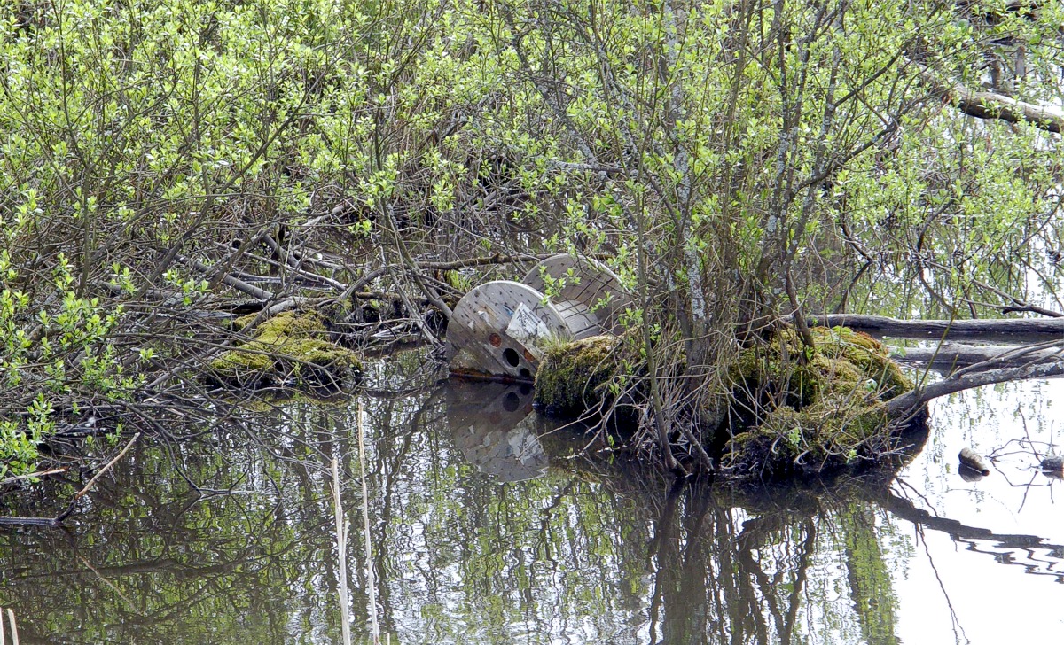 Kaapelikela